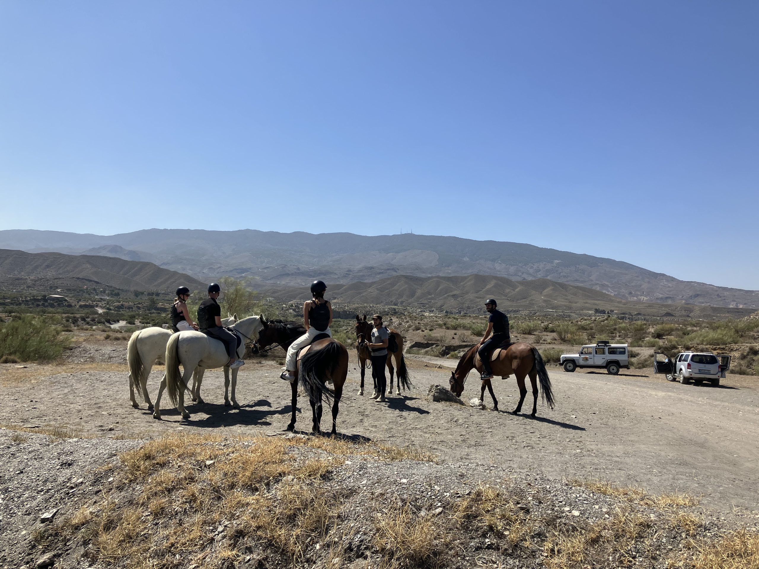 IMG_8323 IMG 8323 scaled