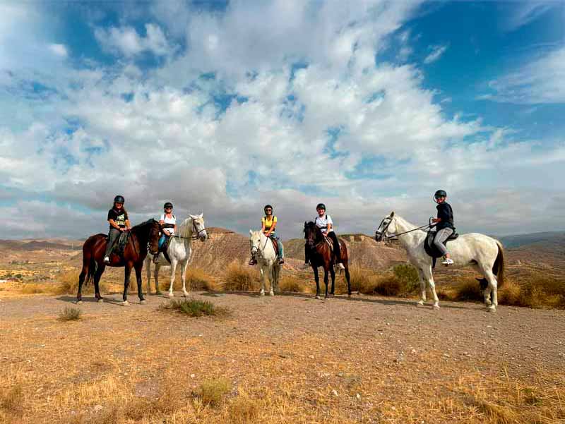 DESIERTO DE LEY4 7