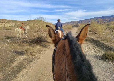 TABERNAS ES WESTERN 3 IMG 20250126 164827 1