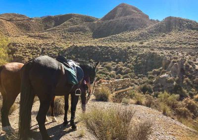 TABERNAS ES WESTERN 4 IMG 9498 1