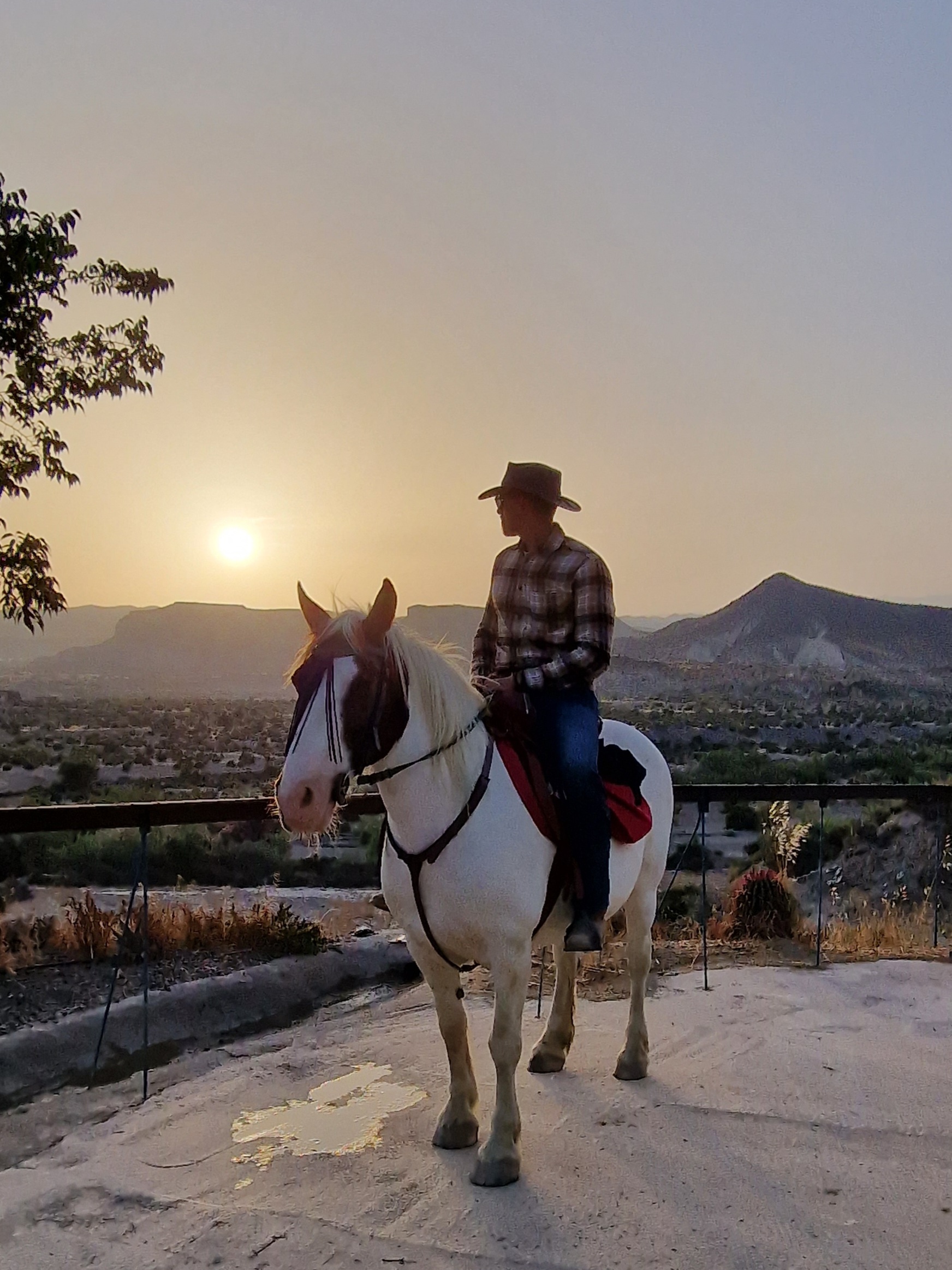 1000114516 1000114516