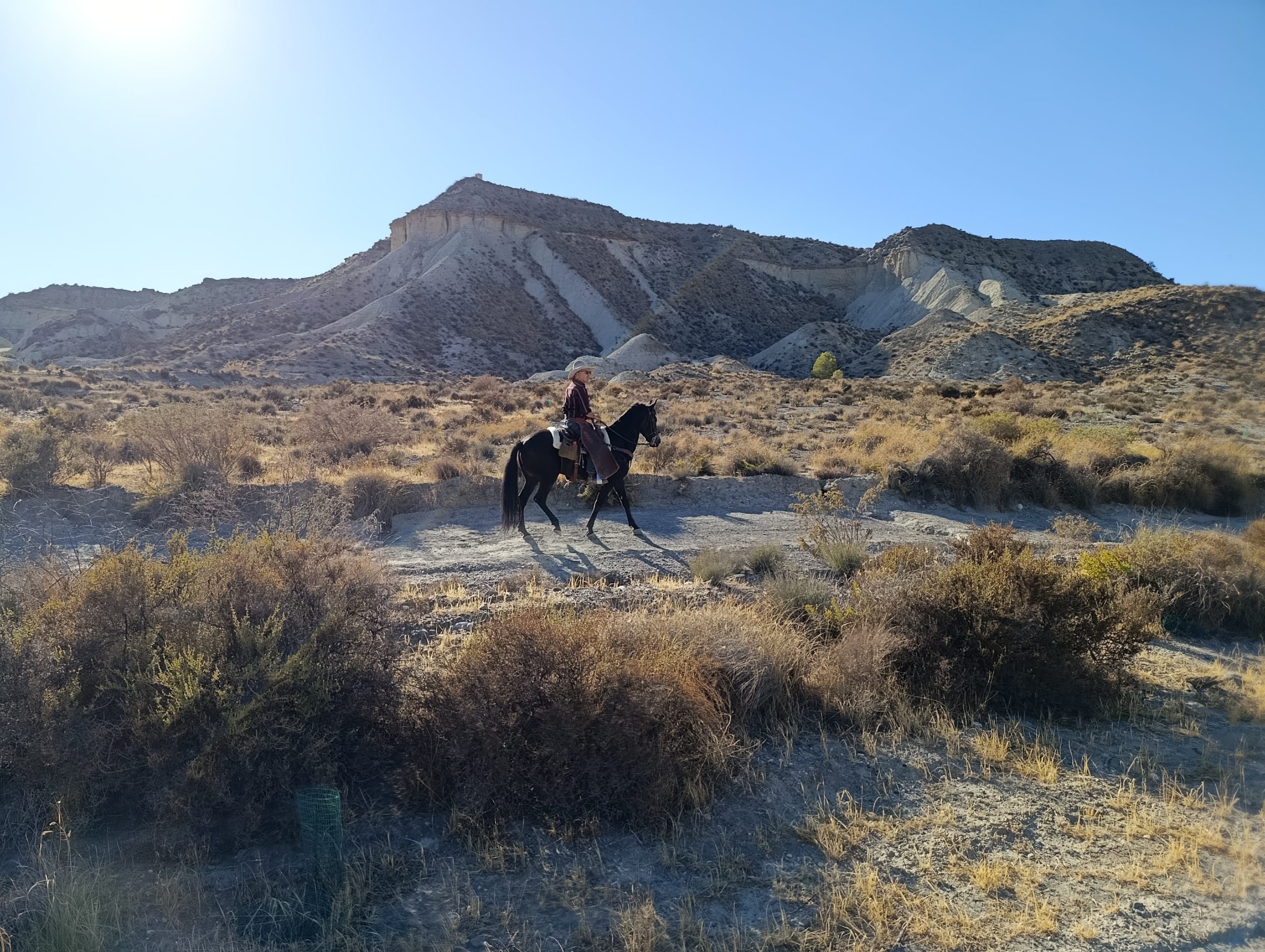 IMG-20251026-WA0132 IMG 20251026 WA0132 scaled