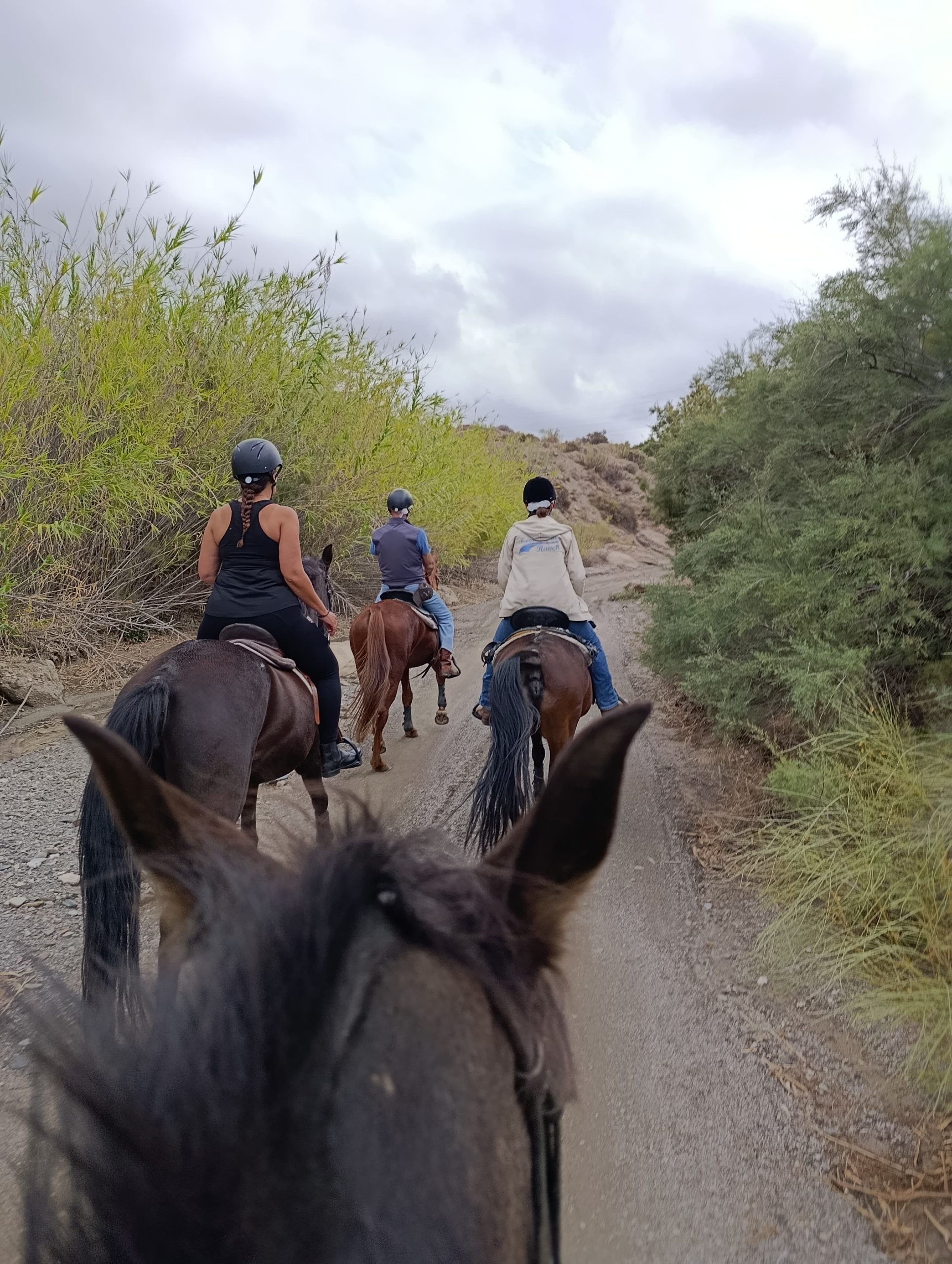 IMG-20251026-WA0146 IMG 20251026 WA0146 scaled